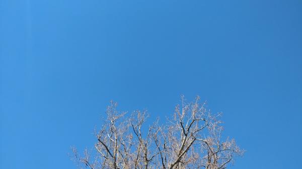 10 березня 2022 року