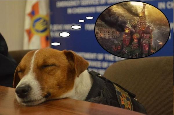 9 травня 2022 року