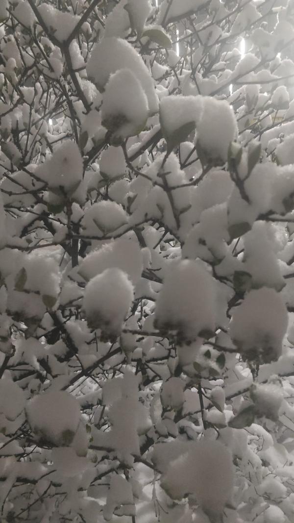 2 квітня 2022 року